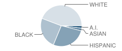 Solarterre-E-Em Child Growing Center School Student Race Distribution