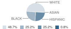 Browning Elementary & South Lancaster Academy Student Race Distribution