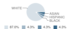 Clark School Student Race Distribution