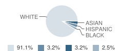 Holy Name Parish School Student Race Distribution