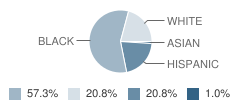 Kids Are People Elementary School Student Race Distribution