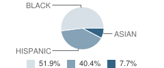 Nativity Preparatory School Student Race Distribution