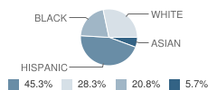 The Nativity School of Worcester Student Race Distribution