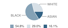 Beddow High School, the Student Race Distribution