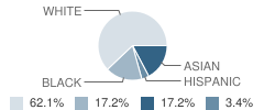 Community School of Md Student Race Distribution