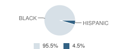 Faith Arts Academy Student Race Distribution