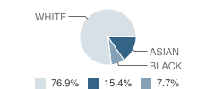 Goddard School, the Student Race Distribution