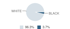 Hebrew Day School of Montgomery County Student Race Distribution