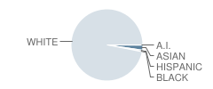 Ss Peter & Paul Elementary School Student Race Distribution