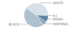 St John the Evangelist School Student Race Distribution