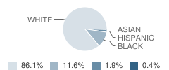 St Mark School Student Race Distribution