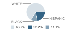 St Thomas Parish Cooperative School Student Race Distribution
