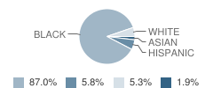 St Michael School Student Race Distribution