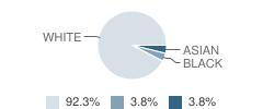 Kent Island Christian School Student Race Distribution