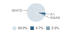 Graham Lake School Student Race Distribution