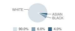 Ann Arbor Academy Student Race Distribution