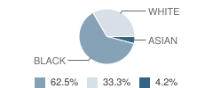 Greater Lansing Islamic School Student Race Distribution