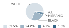 Holy Cross Lutheran School Student Race Distribution