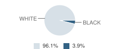 Imlay City Christian School Student Race Distribution