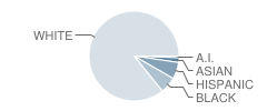 Luke M Powers Catholic High School Student Race Distribution