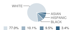 Resurrection School Student Race Distribution