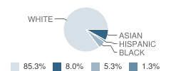 St Dennis School Student Race Distribution