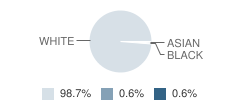 St Paul School Student Race Distribution