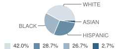 The Potter's House High School Student Race Distribution