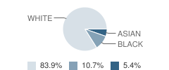 Krambrooke-Griffin Academy Student Race Distribution