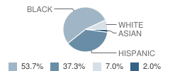 Ascension Elementary School Student Race Distribution