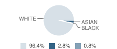 Holy Trinity Elementary / High School Student Race Distribution