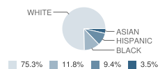 Maplewood Academy Student Race Distribution