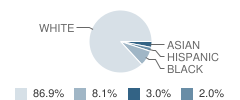 Mt Calvary Lutheran School Student Race Distribution