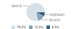 Petra Lutheran School Student Race Distribution