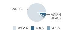 St Andrews Academy Student Race Distribution