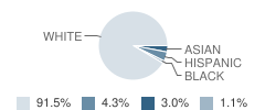 St Vincent De Paul School Student Race Distribution