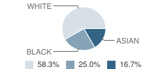 American Montessori Inc (The) School Student Race Distribution