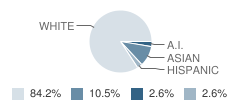 Hope Lutheran High School Student Race Distribution