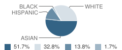 Nacel International School Student Race Distribution