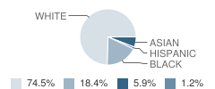 Blue Ridge Christian School Student Race Distribution