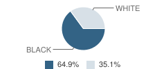 North County Christian School Student Race Distribution