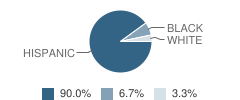 Our Lady of Guadalupe School Student Race Distribution