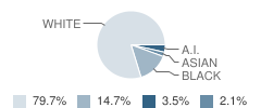 Our Lady of Peace Elementary School Student Race Distribution