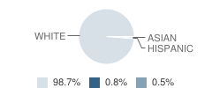 St Joseph School Student Race Distribution