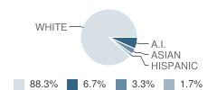 St Peter Elementary School Student Race Distribution