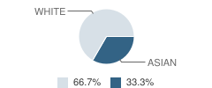 Washington Montessori School Student Race Distribution