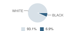 Solid Rock Christian Academy Student Race Distribution