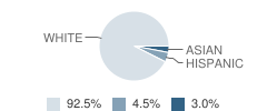 St Elizabeth Ann Seton School Student Race Distribution