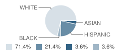 Anchor Academy Student Race Distribution