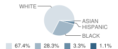 New Summit School Student Race Distribution